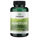 Swanson Hawthorn Extract (Standardizované) 250 miligramů 120 Kapsle