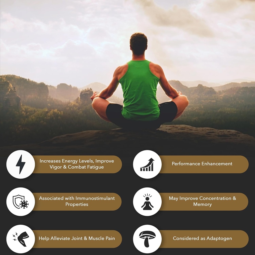 Shilajit Pure Himalayan Organic Resin Gel - Energy Boost, Digestive Health & Imunitation Support - Stopy Minerály Přírodní Black Shilajit pro muže a ženy - Bohaté na Fulvic acid, železo, hořčík (60 Grams)