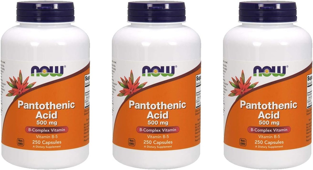 Potraviny Kyselina pantotenová 500 mg, 250 tobolek (3 balení)