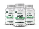 Organics Ocean Wild Sea Moss Kapsle - 100% Organic Irish Sea Moss with Organic Chlorella, Bladderwrack a Vitamin D for Energy, Lung Health a štítné žlázy Podpora pro ženy a muže - 3 Lahvičky