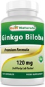 Nejlepší Naturals Ginkgo Biloba 120 mg 120 Kapsle