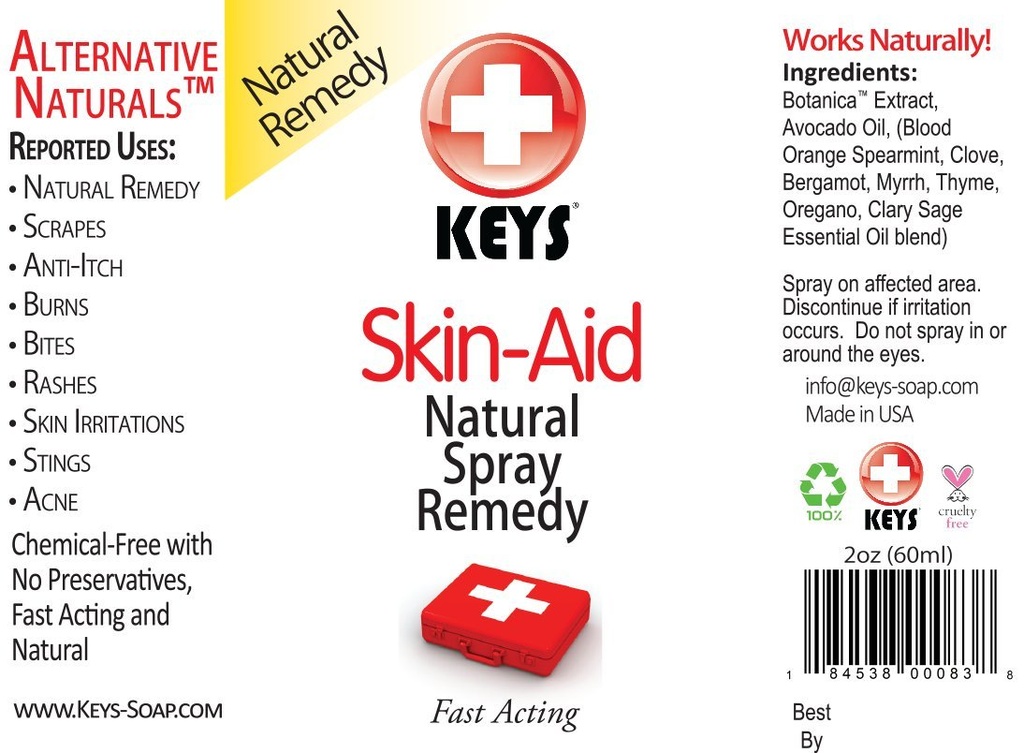 Klíče Skin- Aid Vegan, Chemical- Free, Všechny přírodní antiseptická analgetická postřik terapie remedy, rychle působící farmaceutické složky v terapeutických poměrech, No Lidokain, 2 unce