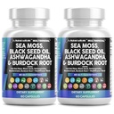 Čisté nutraceutics Moss Black Seed Oil Ashwagandha Turmeric Bladderwrack Burdock & Vitamin C Vitamin D3 s Elderberry Manuka Dandelion Žlutý dok jód Chlorofyl ACV - 2Pack