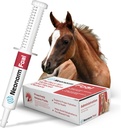 Jaguar Animal Health Foal - Doplňková pasta pro podporu správné hydratace & Bowel Health - Plant- based Product for Pre- Weaned Foals (30 ml)