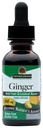 Nature 's Answer Alcohol- Free Ginger Root, 1-Fluid Ounce CLAS124; Zánětná podpora CLAS124; Podporuje Digestion