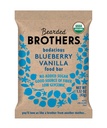 Bearded Brothers, Organic Vegan Protein Energy Bars, Blueberry Vanilla (12 Pack) - Gluten Free, Paleo, Fiber, Celým 30 Glycemic Snacks