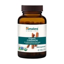 Himalaya Organická Skořice, 30 Day Supply - Bylinné Glucosa Metabolismus Podpora - USDA Organic, Non- GMO, Vegan, Gluten Free, 1100 mg, 60 Tablet