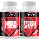 2400mg Fadogia Agrestis Tongkat Ali doplňky - Testováno třetí stranou - 1400mg Fadogia Agrestis & 1000mg Tongkat Ali, maximální síla, svalové hmoty a atletická výkonnost, 2 balení