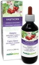 Naturalma Hawthorn (Crataegus oxyacantha) Listová a květinová alkoholická tinktura - 6.76 fl oz Liquid Extract in Drops - Bylinný dodatek - Vegan