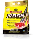 Hmotnost MAMMOTH: Hmotnost Gainer, High Calorie Protein Powder Workout Smoothie Shake, Strava náhrada, Nízký cukr, Syrovátka koncentrát, Kasein Protein Směs, High Protein (Jahoda, 5lb)
