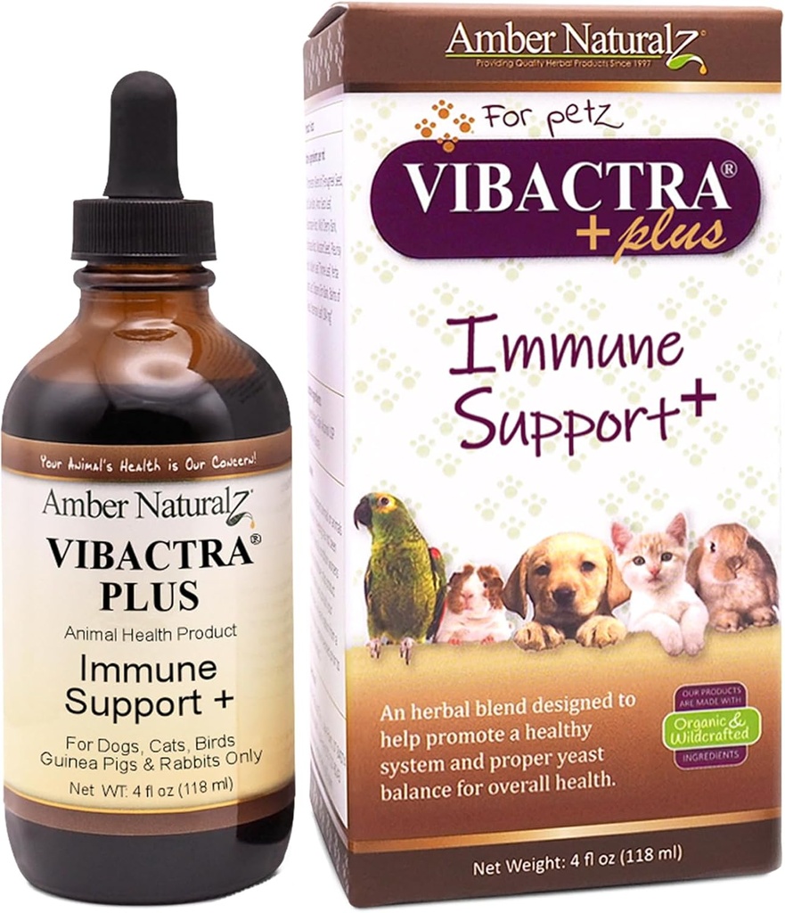 Amber NaturalZ Vibactra Plus Bylinný doplněk pro psy, kočky, ptáci, Guinea Prasata, a Králíci 124; Byliny pro imunitní zdraví a kvasinkovou rovnováhu 124; 4 Fluid Ounce skleněná láhev
