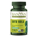Banyan Botanicals Gotu Kola (Centella Asiatica) - Organic Adaptogen & Nootropic Brain Supplementary Supplementary for Health Memory & Concentration * - 90 Tablet - Fairly Traded Udržitelně Sourced Vegan