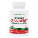 NaturesPlus Organic Cranberry 500 mg - 60 Kapsle - Pomáhá podporovat zdravé močení Trakt - USDA Certified Organic, Vegan, Gluten Free, Non- GMO - 30 Služeb