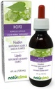 Naturalma Hops (Humulus lupulus) strobilus nebo Cone (Ženské květy) Alkohol- Free tinktura - 4 fl oz Liquid Extract in Drops - Bylinný dodatek - Vegan