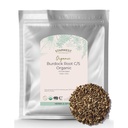 Starwest Botanicals Burdock Root Organic - Přírodní zdroj antioxidantů, Loose Herb pro čaj, rýže, polévka, & Stews, Cut & Sifted, Certified Kosher, Non- GMO - Bulk 1 LB Bag