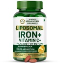 HIMALAYAN ORGANICS Organics Chelated Iron with Vitamin C, B12, Zinc & Folic Acid CLAS124; Zvyšování hladiny hemoglobinu 124; Zlepšuje úroveň koncentrace, energie a krevní stavitelství - 120 Veg Tablety