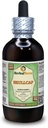 Skullcap (Scutellaria Lateriflora) Glycerit, Organic Sured Herb Alcohol- Free Liquid Extract (Značka: HerbalTerra, Proudly Made in USA) 4 fl.oz (120 ml)