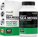 Reew Actives Sea Moss Triple- Action Antioxidant Blend with BioPerine - Organic Irish Sea Moss 500MG, Bladderwrack 500MG & Burdock Root 400MG per 2 Kapsle - Made in Canada - 60 Kapsle