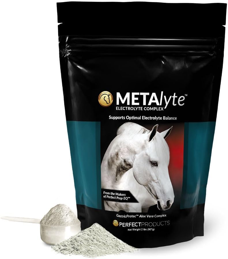 MetaLyte Kompletní Equine Electrolyte s Gastric Soothing Aloe Vera, Velký Ochutnávací prášek Formule (2 LB, 60 Day Supply)