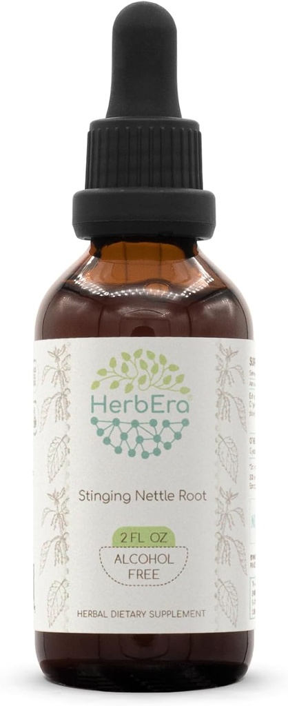 HerbEra Stinging Nettle Root B60 Alcohol- Free Herbal Extract Tinkture, Koncentrované kapalné kapky přírodní bodavá Nettle (Urtica Dioica) 2 fl oz