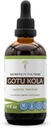 Tajemství kmene Gotu Kola Tincture Alkohol Liquid Extract, Gotu Kola (Centella Asiatica) Sušený Herb (4 FL OZ)
