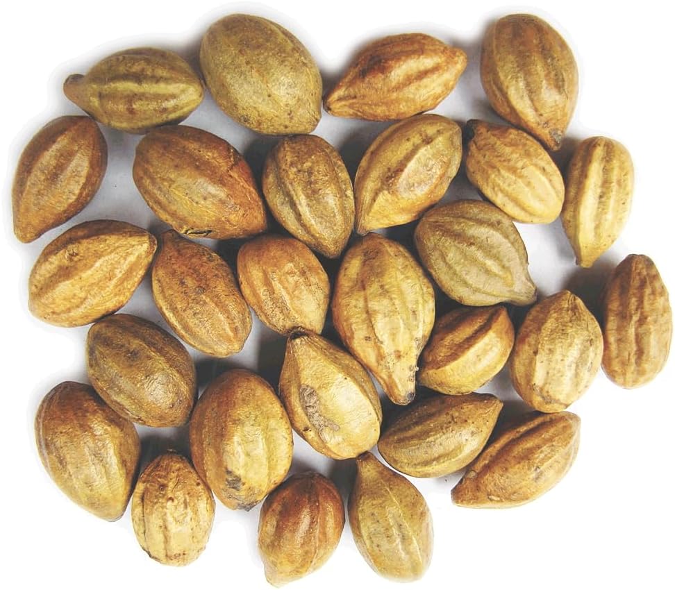 Naturals Terminalia Chebula Auth124; Kadukkai Auth124; Harad Auth124; Inknut Auth124; Haritaki Indian Origin Herbs (200g (7 oz))