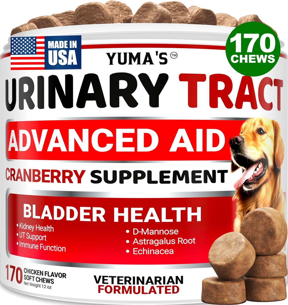 Psí UTI léčba - 170 léčby - Cranberry dodatek pro psy - Kontrola močových cest - Léčba infekce močových cest - UTI medicína Multivitamin - Vitaminy a doplňky - Vyrobeno v USA