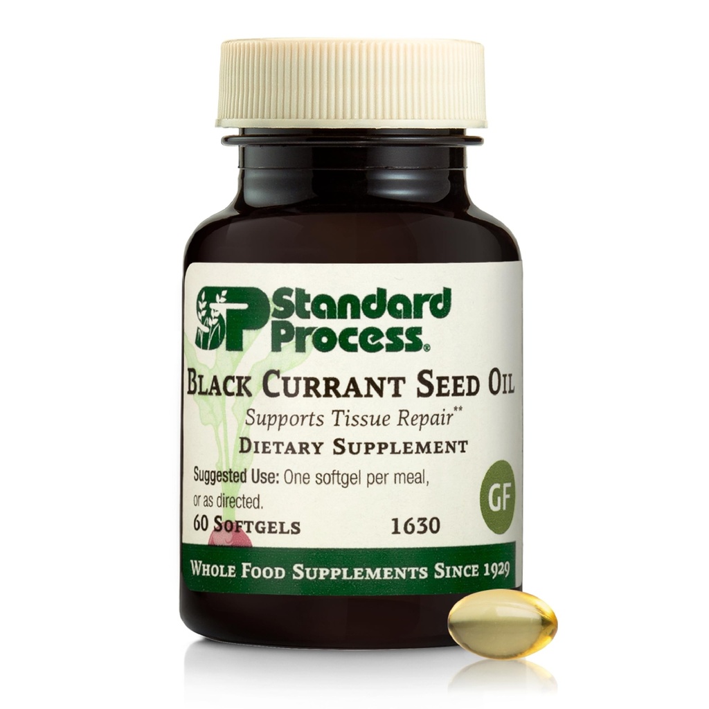 Standard Process Black Currant Seed Oil - Podpora krevního toku a zdraví - Zdravá imunitní funkce - Přírodní Tkáňová péče - Bezlepkové - 60 Softgels (60 Služeb)