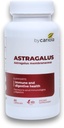 Astragalus Root Kapsle - Imunitní a trávicí Supplement - Přírodní vzorec, zvyšuje energii, zlepšuje trávení - Astragalus Membranaceus Extract - 60 Počet (30 Služeb)
