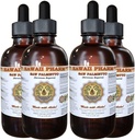 Saw Palmetto tekutý extrakt, Organic Saw Palmetto (Serenoa Repens) tinktura, Bylinný dodatek, Hawaii Pharm, Made in USA, 4x4 fl.oz