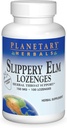 Planetární Herbals Slippery Elm Strawberry Lozenges, Bylinná podpora hrdla, 100 Lozenge