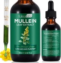 Mullein Leaf Extract pro plíce, Mullein kapky pro plíce, podpůrná plíce, Respirační funkce pro zdravé dýchání, zlepšení plicní funkce, přírodní a bezpečný doplněk (1 PC)