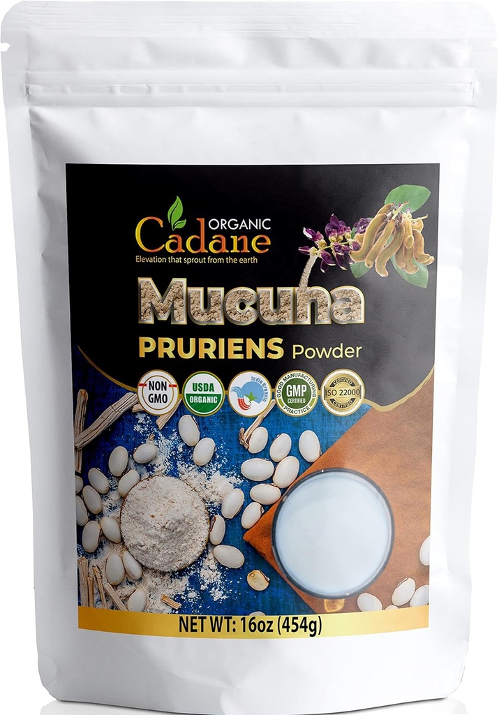 Organic Cadane Mucuna Pruriens Powder 1 Libra 124; Promotes Brain Health, Podporuje imunitní systém, Energie 124; USDA Certified Vegan- Friendly doplňky 124; Čisté přírodní sametové fazole extrakt z Indie