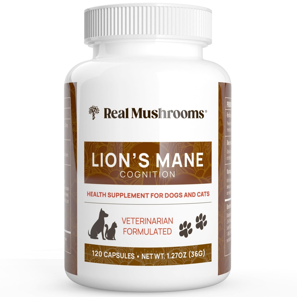 Pravé houby Lion je hříva Pet Houba Dodatek - Pet Wellbeing Kapsle - pro Cat & Dog Dodatek & Vitamíny - Podpora bezduché rutiny - Organic, Vegan, Non- GMO, 120 Počet
