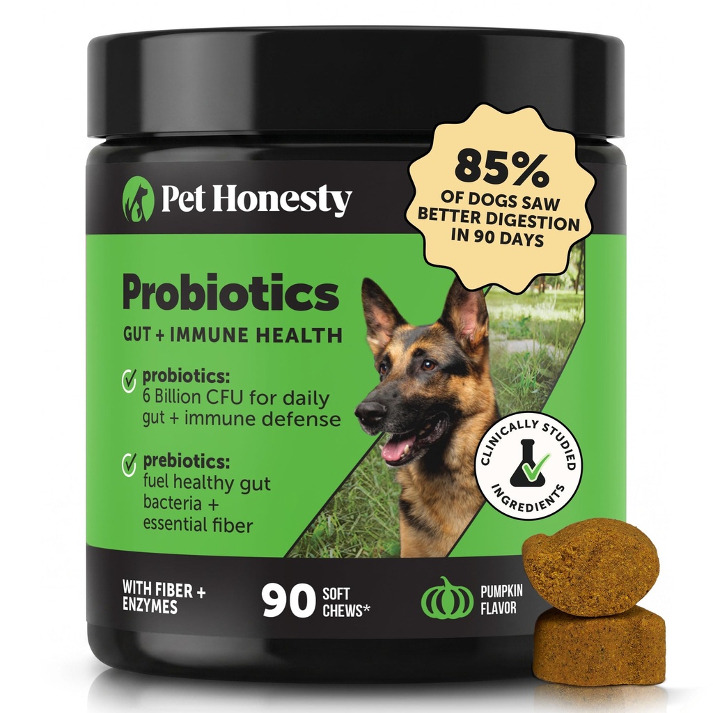 Pet Upřímnost Probiotika pro psy pro příležitostné průjem & Bowel podpora, Dědičné Enzymy s prebiotika pro Gut zdraví pro psy, Imunity zdraví & Itch Relief (Dýně 90 ct)