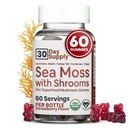 Sea Moss Gummies with Lions Mane Houba - Sea Moss Gel Alternative with Irish Moss, Reishi, Cordyceps, Chaga & Turkey Tail Supplement - Focus Gummy Without Coffee - 60 ct