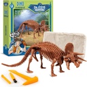 Geoworld Triceratops Dino Dig Kit - Sestavte 8- Inch Authentic Dinosaur Skeleton Model - Ultimate STEM Learning Experience for Kids Ages 6 +