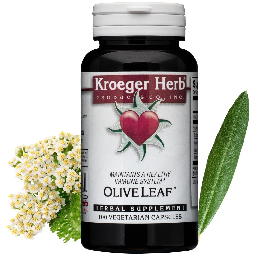 Kroeger Byliny, Olive Leaf Extract Kapsle pro imunitní systém, Olive Leaf & Yarrow Dodatek, Vegetariánské, Non- GMO, Gluten Free, No Konzervativa - 100 Kapsle, Made in USA