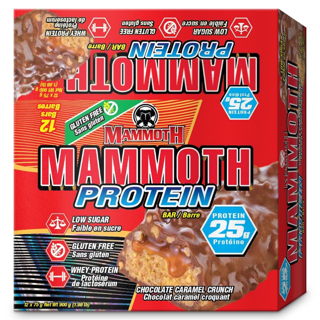 Masový protein Bar, Čokoládové oříškové máslo Crunch, 25g protein, Nízký cukr, Nízký karb, gluten zdarma, 12 x 65g (12 Počet) (Čokoládové arašídové máslo Crunch) (12 Počet, Čokoládový karamel Crunch)