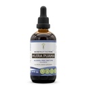 Tajemství Tribe Muira Puama Tincture Alcohol- Free Liquid Extract, Muira Puama (Ptychoptetalum Olacoides) Sušený Bark (4 FL OZ)