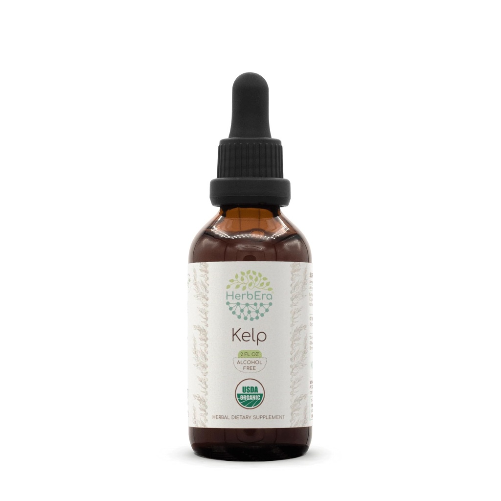 HerbEra Kelp B60 USDA Organic Tincture CLAS124; Alkoholo- Free Extract, High- Potency Herbal Drops CLAS124; Certified Organic Kelp (Ascophyllum nodosum) Sured Plant (2 oz)