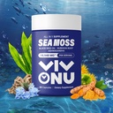 Sea Moss Black Seed Oil Ashwagandha Shilajit Ginger- Sea Moss Kapsle s Burdock Turmeric Vitamíny C & D3 Elderberry Ginger ACV Manuka Dandelion -imunitní systém, kůže, energie