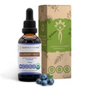Tajemství Tribe Bilberry Fruit USDA Organic Fruit 124; Alkoholicko-Free Extract, high- Potency Bylinné kapky, Vision Frup 124; Vyrobeno ze 100% Certified Organic Bilberry (Vaccinium Myrtillus) Sušené ovoce 2 oz