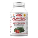 ANDREW LESSMAN ALA + NAC Alpha Lipoic Acid s N- acetyl- cystein 360 Kapsle - Ultra- High potency, Anti- Oxidant Podpora nervového systému, srdce, mozku, jater, ledvin, plic, energie. Žádné doplňkové látky