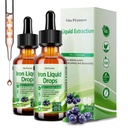 2 Balení tekuté železo dodatek pro ženy muži a děti, Vegan železné kapky s vitaminem C D, B12, B-komplex, vysoká účinnost kapalné s multivitamin pro anemii, energetická podpora, hořčík železo Gentle