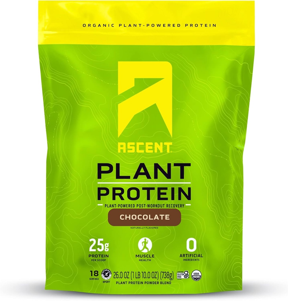Areach Plant Based Protein Powder - Non Dairy Vegan Protein, Nulové umělé přísady, Soy & gluten Free, No Added Sugar, 4g BCAA, 2g Leucin - Čokoláda, 18 Služeb