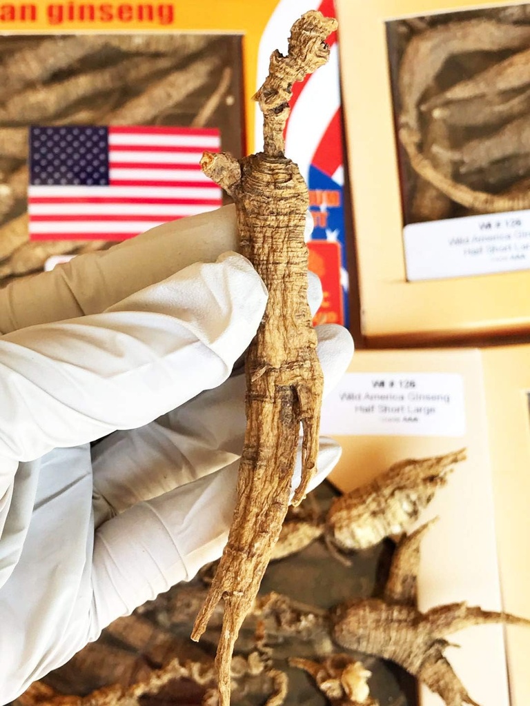 8OZ = 227g / Box American Wild Ginseng 15 ~ 20 years, Wisconsin Whole Ginseng Root Hand- Vybrané 124;