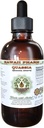 Quassia Alcohol- Free Liquid Extract, Quassia (Quassia Amara) Sušený Bark Glycerite přírodní bylinný dodatek, Hawaii Pharm, USA 2 fl.oz
