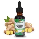 Příroda odpověď Ginger Root Alkohol Free Extract 1 Ounce Ounce 124; Podporuje Stomach Function CLANE124; Vegan CLANE124; Vegetarian CLANE124; Non- GMO CLANE124; Gluten Free