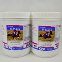 SU-PER B-Plex Powder Equine Vitamíny - Kompletní B-Complex Horse Vitamíny a Minerály Doplněk - Zdravá Hooves, Red Blood Cells, Koňské Calming Powder - 2.5 Pounds, (2 balení)